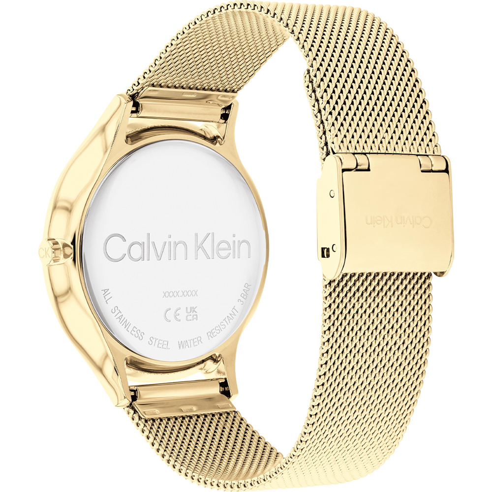 Calvin Klein 25200003 Timeless Mesh Horloge • EAN: 7613272456715 •