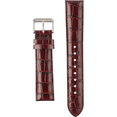 Casio 10466619 Horlogeband