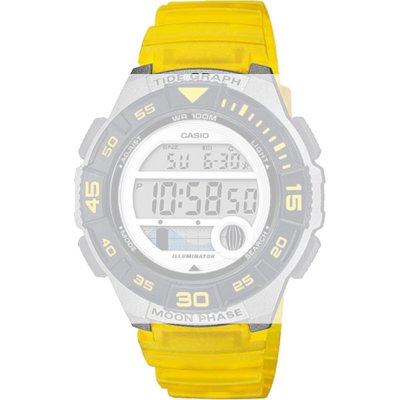 Casio 10592727 Collection Women Horlogeband