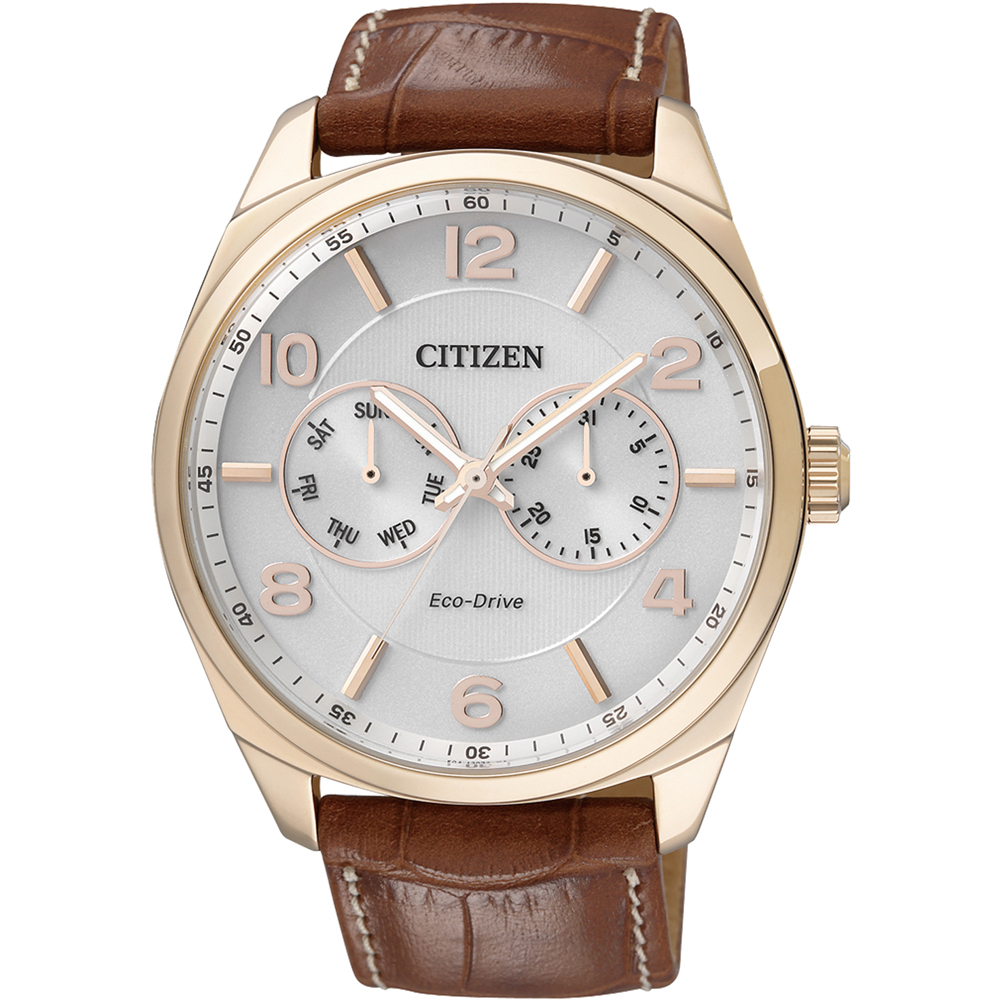 Citizen Elegance AO9024-16A Horloge