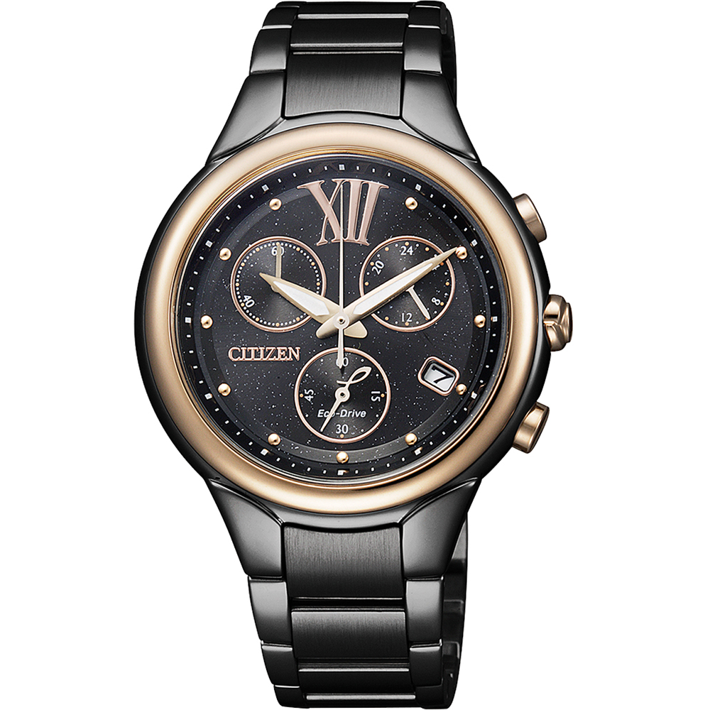 Citizen Elegance FB1317-53E Horloge