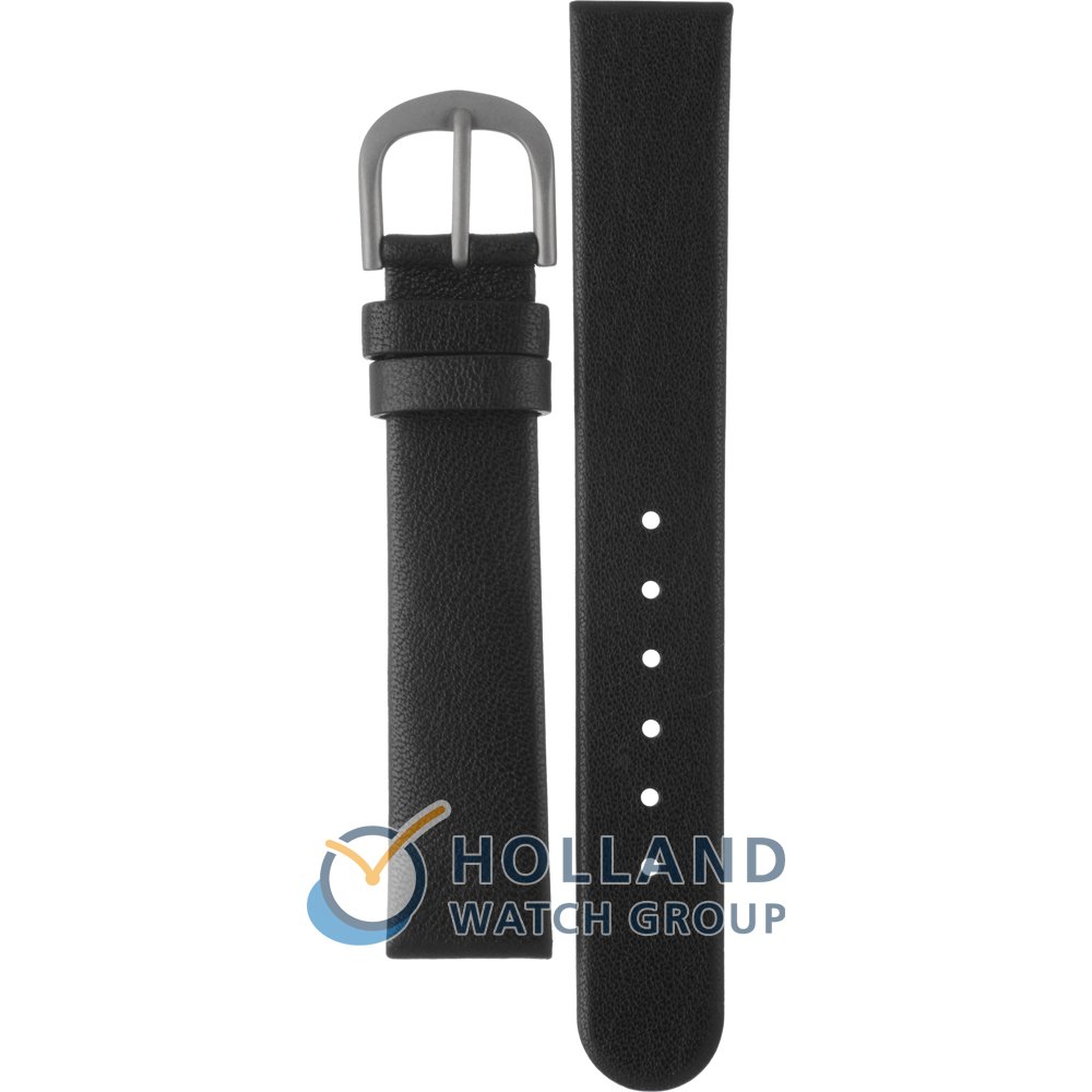 Danish Design banden BIV10Q541 DD 15mm Titanium • Officieel merkdealer •  Horloge.nl