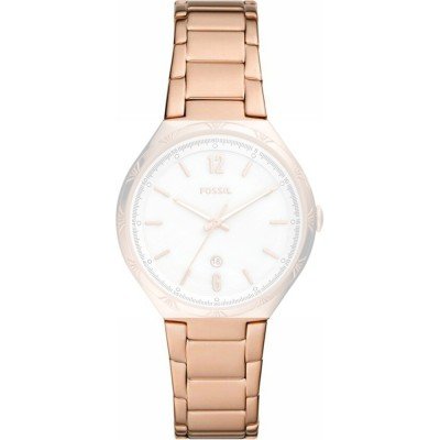 Fossil ABQ3739 BQ3739 Ashtyn Horlogeband