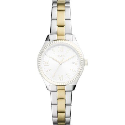 Fossil ABQ3927 BQ3927 Rye Horlogeband