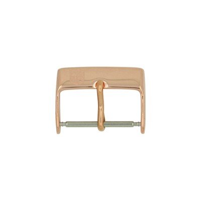 Frederique Constant FC-BURGP20 Gesp