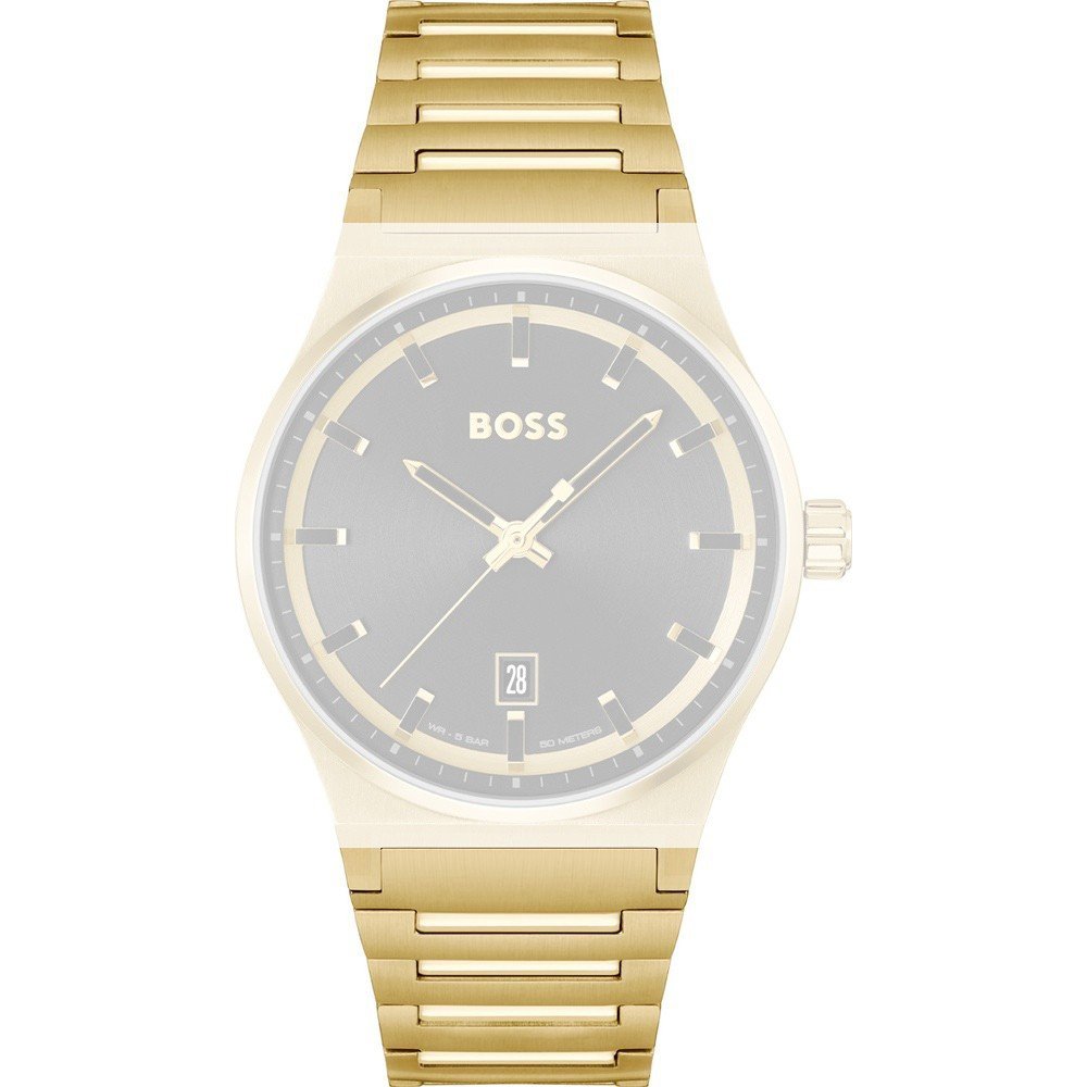 Hugo Boss 659003101 Candor Horlogeband