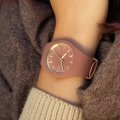 Roze dameshorloge Herfst / Winter Collectie Ice-Watch
