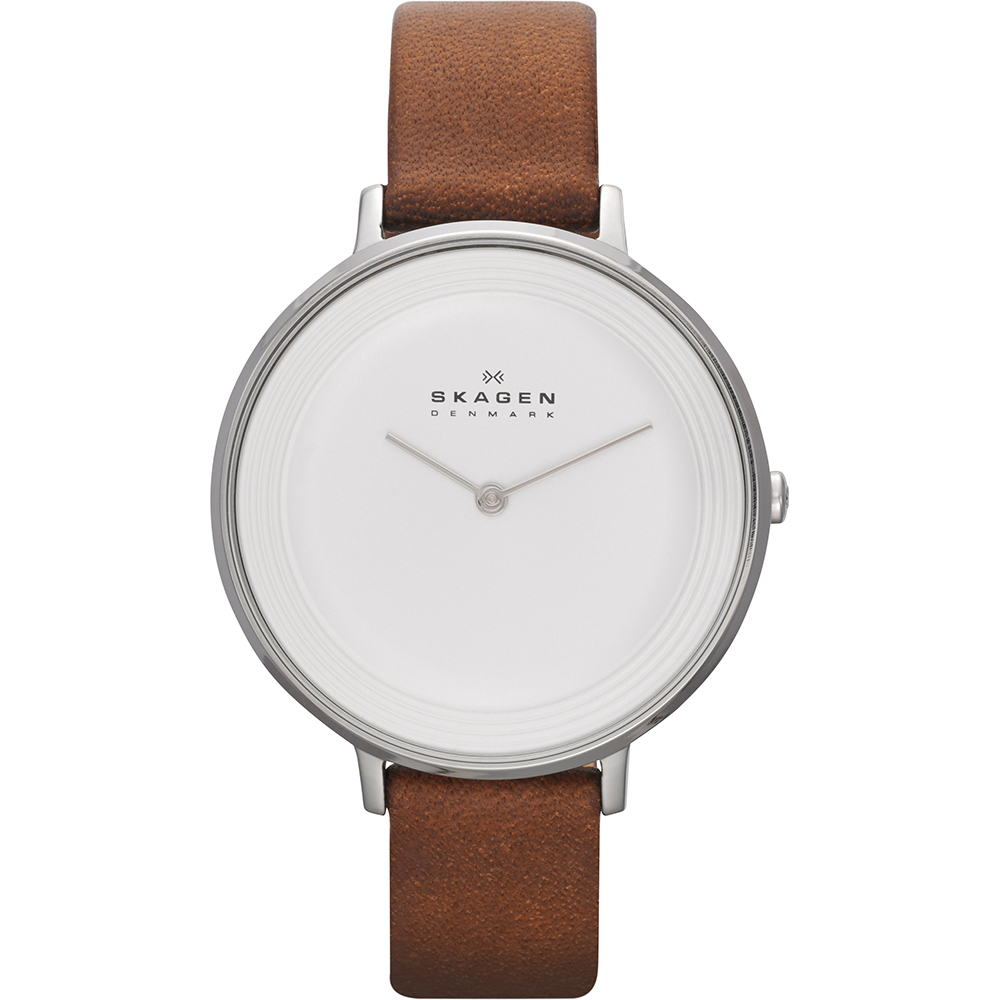 Skagen Watch Time 2 Hands Ditte Large SKW2214