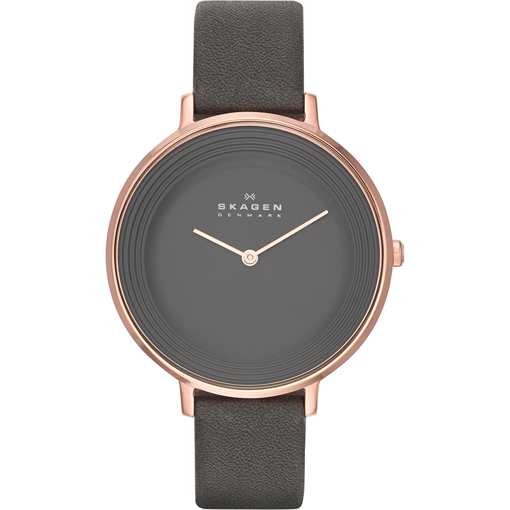 Skagen Watch Time 2 Hands Ditte Large SKW2216