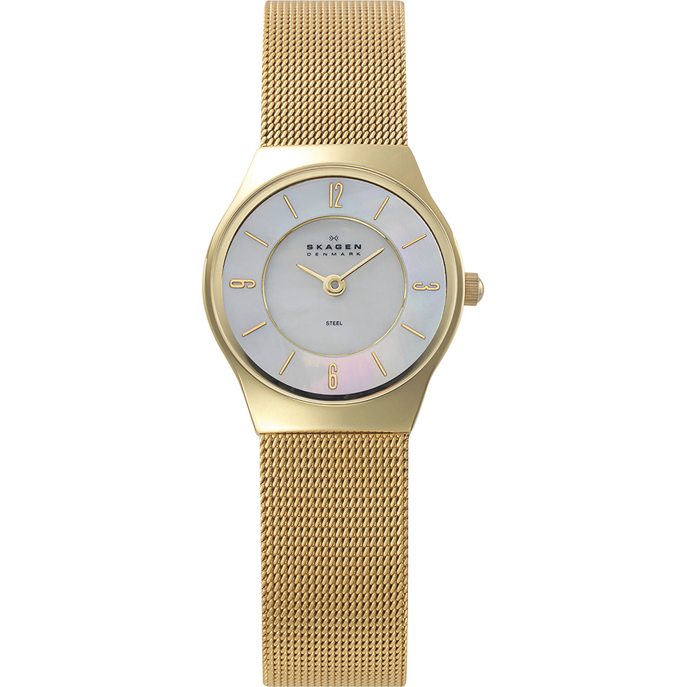 Skagen Watch Time 2 Hands Grenen XSmall 233XSGG