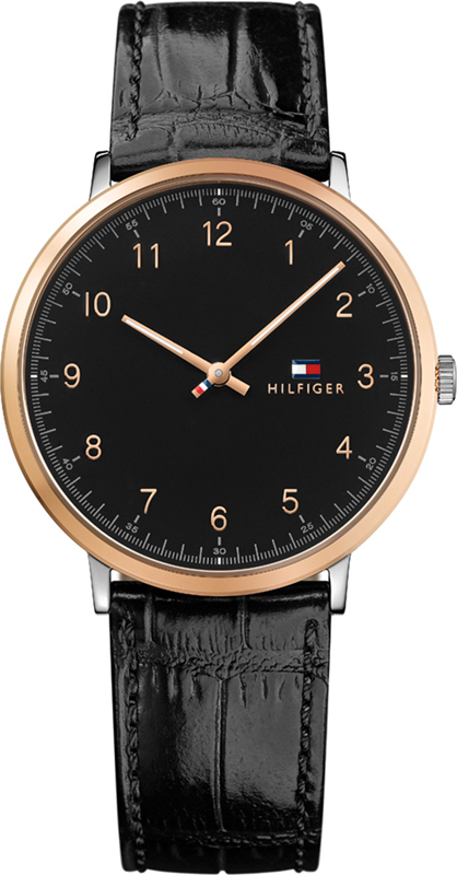 Tommy Hilfiger Tommy Hilfiger Watches 1791339 James horloge